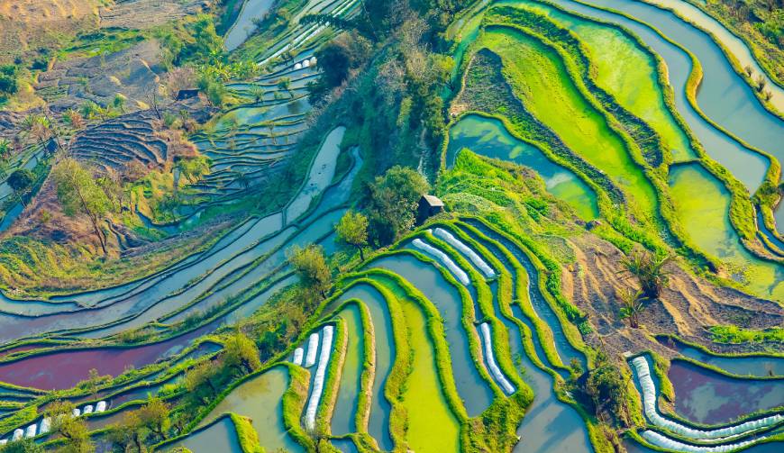 宝妈必备神器：绥滨县产品视频拍摄轻松育儿好帮手