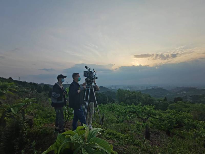 创意破圈！绥滨县电商产品宣传视频用故事化叙事引爆流量