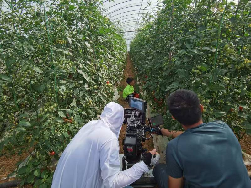 绥滨县产品宣传视频拍摄公司进阶指南，助力品牌抢占传播高地